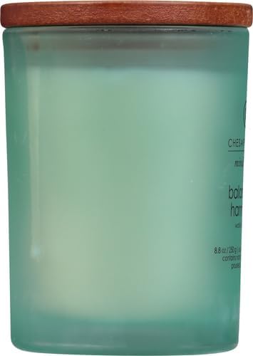 Chesapeake Bay Candle Mind &amp; Body 3 - Wick Coffee Table Jar Candle, Nourish Renew (Coconut &amp; Sandalwood) - Homesidy.com