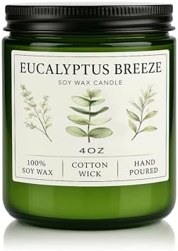 Eucalyptus &amp; Mint Candles for Home Scented, 20 Hours Burn Soy Candle Gift for Women Stress Relief, Meditation, Yoga, Relaxing, Natural Soy Wax for Men and Women, 4oz - Homesidy.com