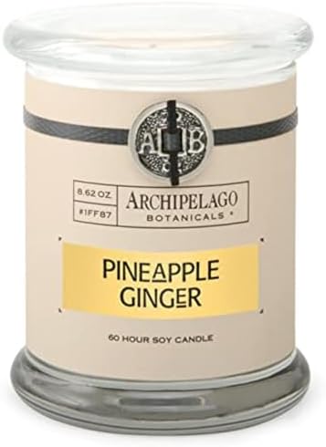 Archipelago Botanicals Scented Candle Hand - Poured Premium Wax, Burns Approx. 60 Hours, Pineapple Ginger, Soy Candle in Glass Jar, 4.5 Inch, 8.6 oz - Homesidy.com