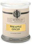 Archipelago Botanicals Scented Candle Hand - Poured Premium Wax, Burns Approx. 60 Hours, Pineapple Ginger, Soy Candle in Glass Jar, 4.5 Inch, 8.6 oz - Homesidy.com