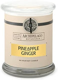Archipelago Botanicals Scented Candle Hand - Poured Premium Wax, Burns Approx. 60 Hours, Pineapple Ginger, Soy Candle in Glass Jar, 4.5 Inch, 8.6 oz - Homesidy.com