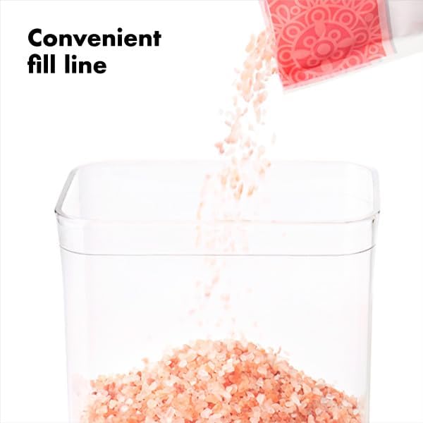 OXO Good Grips POP Container - 4.4 Qt/4.2 L, Airtight Food Storage Containers - Homesidy.com