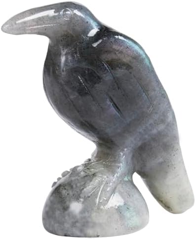 QLRSUXN Natural Black Obsidian Raven Figurines,2 Inch Healing Crystal Animal Statues,Lucky Guardian Pocket Crow Figurines as Women’s Gifts,Raven Statues for Office Home Decor and Ornament. - Homesidy.com