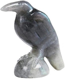 QLRSUXN Natural Black Obsidian Raven Figurines,2 Inch Healing Crystal Animal Statues,Lucky Guardian Pocket Crow Figurines as Women’s Gifts,Raven Statues for Office Home Decor and Ornament. - Homesidy.com