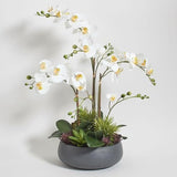 CG Hunter Faux White Orchid Plant, Premium Artificial Indoor Flower Display Stands 25 - Inches with Beautiful Sculptural Blooms and Foliage That Lasts Forever, Grey Planter Pot Included - Homesidy.com