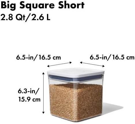 OXO Good Grips POP Container - 4.4 Qt/4.2 L, Airtight Food Storage Containers - Homesidy.com