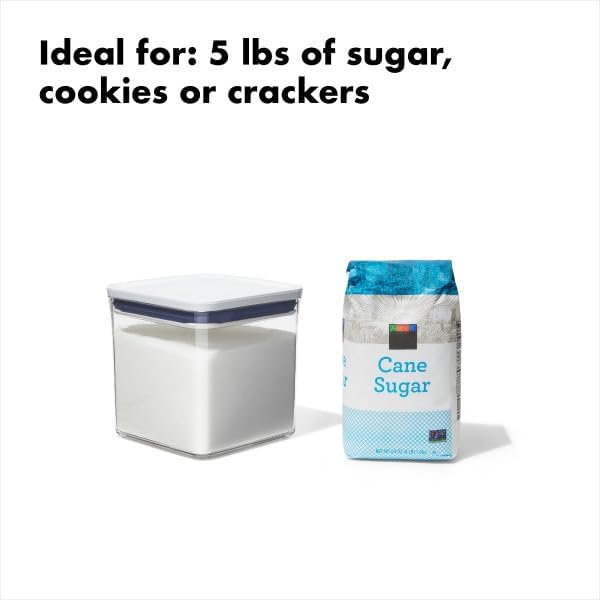 OXO Good Grips POP Container - 4.4 Qt/4.2 L, Airtight Food Storage Containers - Homesidy.com