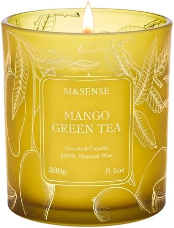 M&amp;SENSE Vanilla Scented Candles, Vegan Soy Candles, Creamy Naturally Scented, 8.1oz 42 - Hour Slow Burning Time, Toxic Free Winter Relaxing Sleep Thanksgiving Christmas Fancy Gift for Home Decor - Homesidy.com