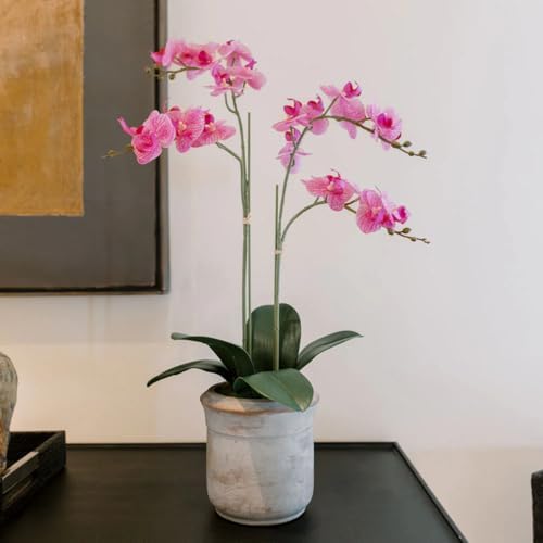 CG Hunter Faux White Orchid Plant, Premium Artificial Indoor Flower Display Stands 25 - Inches with Beautiful Sculptural Blooms and Foliage That Lasts Forever, Grey Planter Pot Included - Homesidy.com