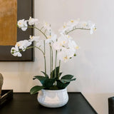 CG Hunter Faux White Orchid Plant, Premium Artificial Indoor Flower Display Stands 25 - Inches with Beautiful Sculptural Blooms and Foliage That Lasts Forever, Grey Planter Pot Included - Homesidy.com
