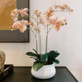CG Hunter Faux White Orchid Plant, Premium Artificial Indoor Flower Display Stands 25 - Inches with Beautiful Sculptural Blooms and Foliage That Lasts Forever, Grey Planter Pot Included - Homesidy.com