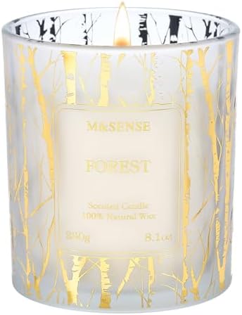 M&amp;SENSE Vanilla Scented Candles, Vegan Soy Candles, Creamy Naturally Scented, 8.1oz 42 - Hour Slow Burning Time, Toxic Free Winter Relaxing Sleep Thanksgiving Christmas Fancy Gift for Home Decor - Homesidy.com