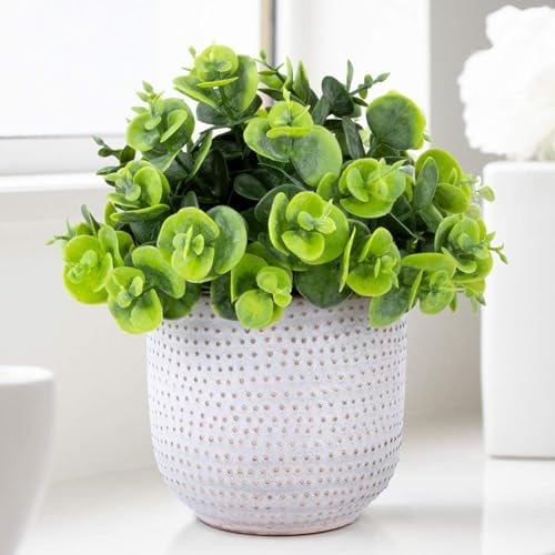 Karlliu Artificial Plants Cute Colourful Succulents in Ceramic Planter Fake Plant Flowers Potted for Home Living Room Office Desk Decor Bathroom Bedroom Indoor Decoration - Homesidy.com