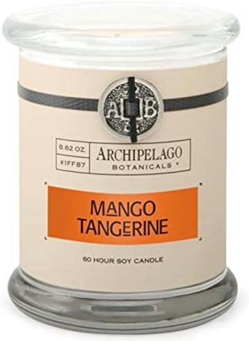 Archipelago Botanicals Scented Candle Hand - Poured Premium Wax, Burns Approx. 60 Hours, Pineapple Ginger, Soy Candle in Glass Jar, 4.5 Inch, 8.6 oz - Homesidy.com