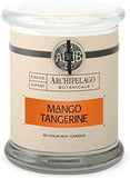 Archipelago Botanicals Scented Candle Hand - Poured Premium Wax, Burns Approx. 60 Hours, Pineapple Ginger, Soy Candle in Glass Jar, 4.5 Inch, 8.6 oz - Homesidy.com