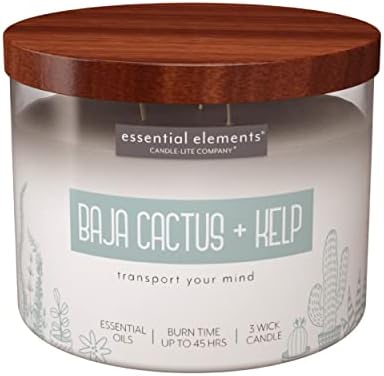 Candle - lite Essential Elements Scented Candles, Eucalyptus &amp; Mint Leaf, 14.75 oz Jar, Proudly Poured in The USA, Aromatherapy, 3 - Wick with 45 Hours Burn Time, Perfect for Creating a Relaxing Ambiance - Homesidy.com