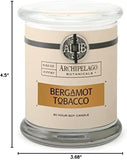 Archipelago Botanicals Scented Candle Hand - Poured Premium Wax, Burns Approx. 60 Hours, Pineapple Ginger, Soy Candle in Glass Jar, 4.5 Inch, 8.6 oz - Homesidy.com