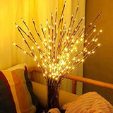 DK177 2 Pack Led Branch Light Battery Operated Lighted Branch Vase Filler Willow Tree Artificial Little Twig Power Brown 30 Inch 20 LED for Home Romantic Decoration, Warm White - Homesidy.com