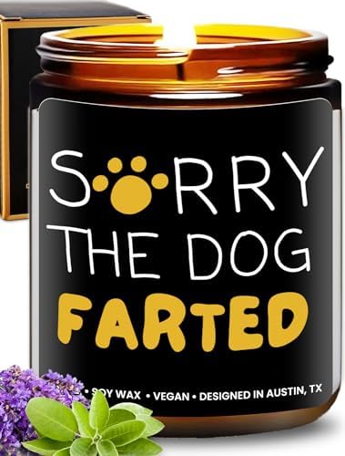 https://m.media-amazon.com/images/I/51Q9MwY1zML._AC_.jpg