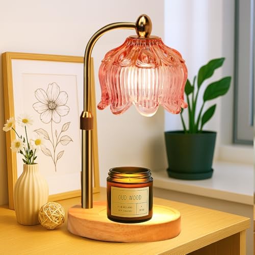 GEEZO Fragrance Candle Warmer Lamp，Electric Candle Warmer with Timer &amp; Dimmer，Mom Christmas Birthday Gifts for Women, House Warming Gifts New Home Bedroom Decor - Homesidy.com