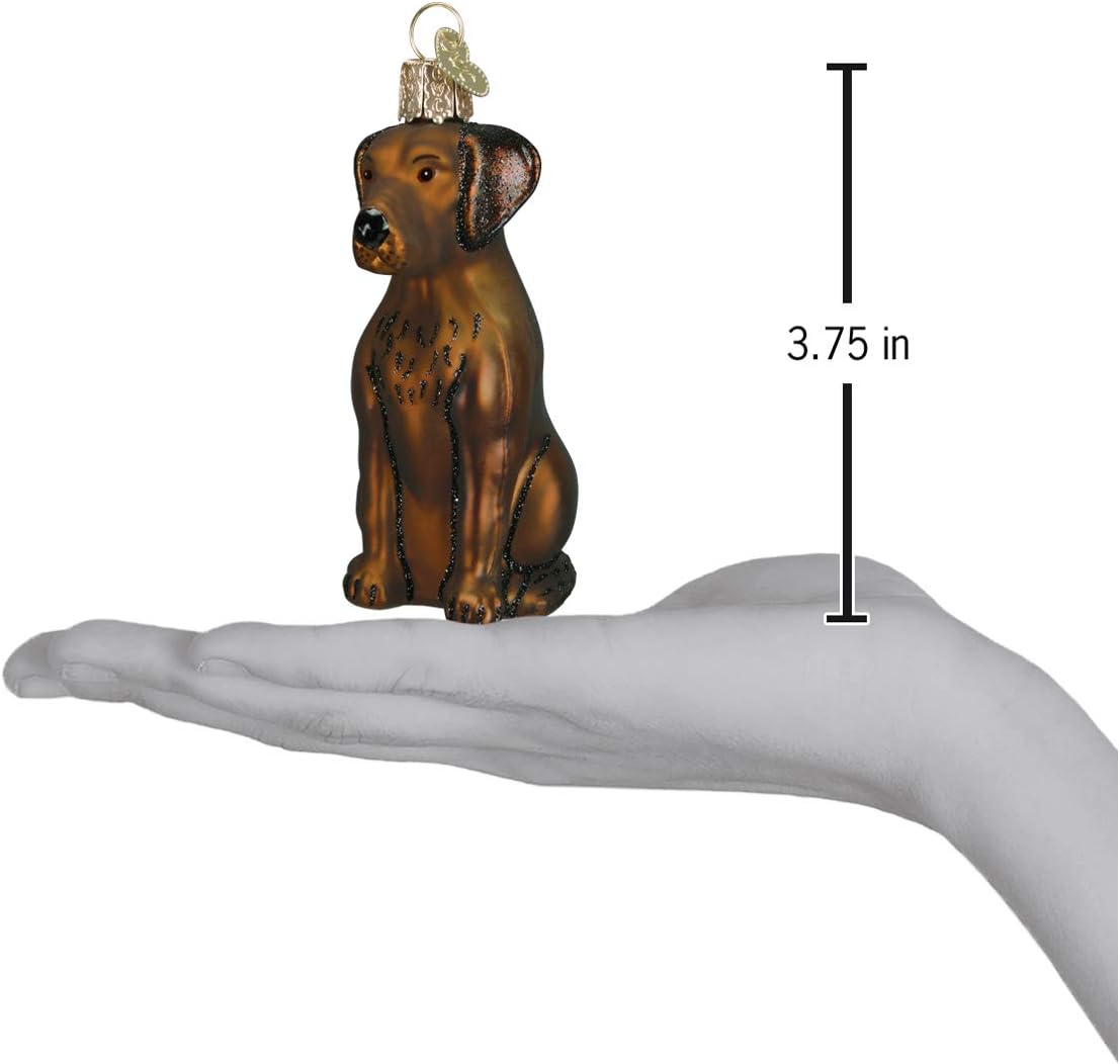 Old World Christmas Black Labrador Dog Collection Glass Blown Ornaments for Christmas Tree 3.75 x 1.5 - Homesidy.com