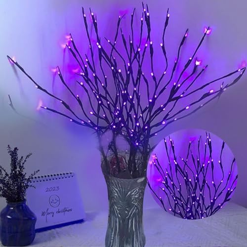 DK177 2 Pack Led Branch Light Battery Operated Lighted Branch Vase Filler Willow Tree Artificial Little Twig Power Brown 30 Inch 20 LED for Home Romantic Decoration, Warm White - Homesidy.com