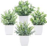 Der Rose 4 Pack Fake Plants Mini Artificial Greenery Potted Plants for Home Decor Indoor Office Table Room Farmhouse Bathroom Decor - Homesidy.com