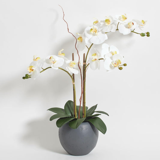 CG Hunter Faux White Orchid Plant, Premium Artificial Indoor Flower Display Stands 25 - Inches with Beautiful Sculptural Blooms and Foliage That Lasts Forever, Grey Planter Pot Included - Homesidy.com