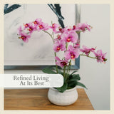 CG Hunter Faux White Orchid Plant, Premium Artificial Indoor Flower Display Stands 25 - Inches with Beautiful Sculptural Blooms and Foliage That Lasts Forever, Grey Planter Pot Included - Homesidy.com