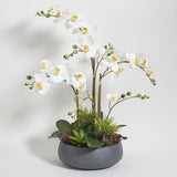 CG Hunter Faux White Orchid Plant, Premium Artificial Indoor Flower Display Stands 25 - Inches with Beautiful Sculptural Blooms and Foliage That Lasts Forever, Grey Planter Pot Included - Homesidy.com