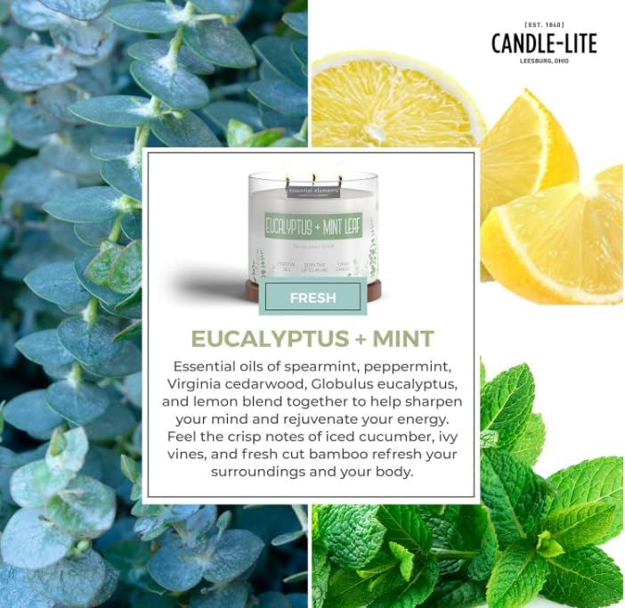 Candle - lite Essential Elements Scented Candles, Eucalyptus &amp; Mint Leaf, 14.75 oz Jar, Proudly Poured in The USA, Aromatherapy, 3 - Wick with 45 Hours Burn Time, Perfect for Creating a Relaxing Ambiance - Homesidy.com