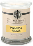Archipelago Botanicals Scented Candle Hand - Poured Premium Wax, Burns Approx. 60 Hours, Pineapple Ginger, Soy Candle in Glass Jar, 4.5 Inch, 8.6 oz - Homesidy.com