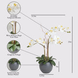 CG Hunter Faux White Orchid Plant, Premium Artificial Indoor Flower Display Stands 25 - Inches with Beautiful Sculptural Blooms and Foliage That Lasts Forever, Grey Planter Pot Included - Homesidy.com