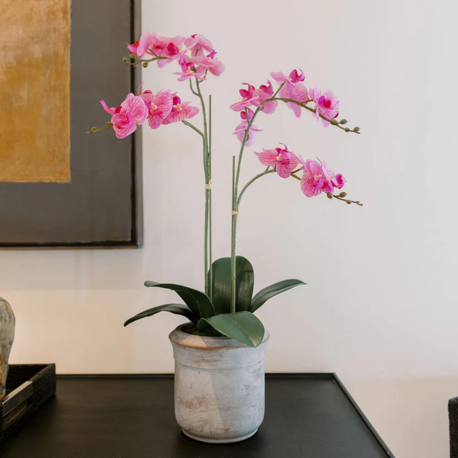 CG Hunter Faux White Orchid Plant, Premium Artificial Indoor Flower Display Stands 25 - Inches with Beautiful Sculptural Blooms and Foliage That Lasts Forever, Grey Planter Pot Included - Homesidy.com