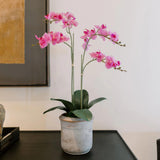 CG Hunter Faux White Orchid Plant, Premium Artificial Indoor Flower Display Stands 25 - Inches with Beautiful Sculptural Blooms and Foliage That Lasts Forever, Grey Planter Pot Included - Homesidy.com