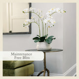 CG Hunter Faux White Orchid Plant, Premium Artificial Indoor Flower Display Stands 25 - Inches with Beautiful Sculptural Blooms and Foliage That Lasts Forever, Grey Planter Pot Included - Homesidy.com