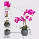 CG Hunter Faux White Orchid Plant, Premium Artificial Indoor Flower Display Stands 25 - Inches with Beautiful Sculptural Blooms and Foliage That Lasts Forever, Grey Planter Pot Included - Homesidy.com