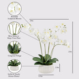 CG Hunter Faux White Orchid Plant, Premium Artificial Indoor Flower Display Stands 25 - Inches with Beautiful Sculptural Blooms and Foliage That Lasts Forever, Grey Planter Pot Included - Homesidy.com