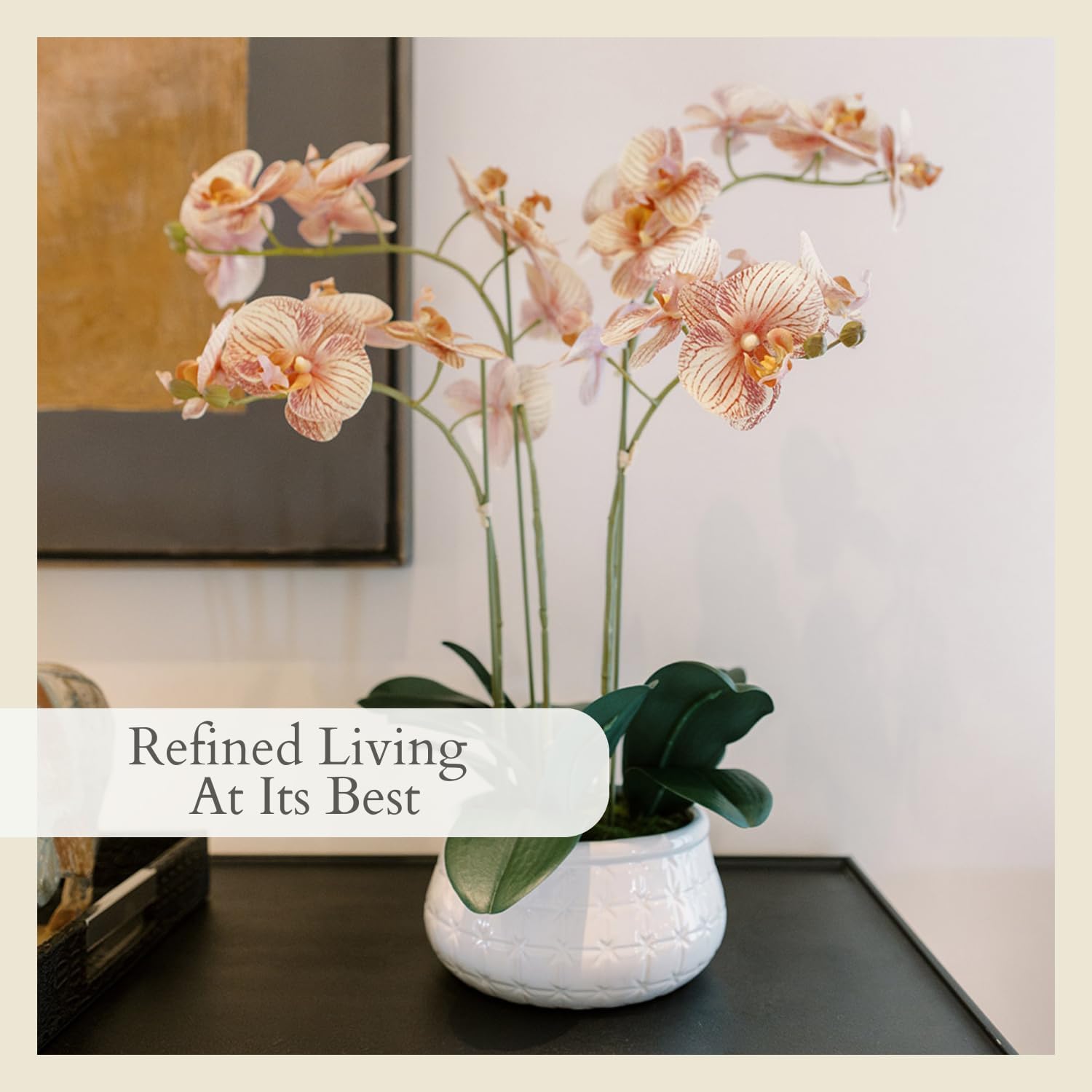 CG Hunter Faux White Orchid Plant, Premium Artificial Indoor Flower Display Stands 25 - Inches with Beautiful Sculptural Blooms and Foliage That Lasts Forever, Grey Planter Pot Included - Homesidy.com