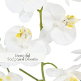 CG Hunter Faux White Orchid Plant, Premium Artificial Indoor Flower Display Stands 25 - Inches with Beautiful Sculptural Blooms and Foliage That Lasts Forever, Grey Planter Pot Included - Homesidy.com
