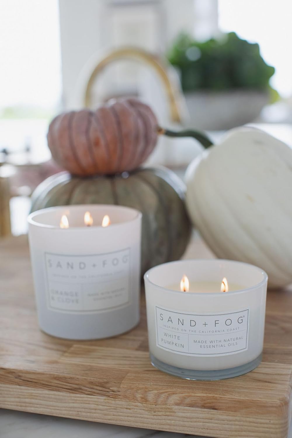 Sand Fog Scented Candle - Crushed Candy Cane – Additional Scents and Sizes – 100% Cotton Lead - Free Wick - Luxury Air Freshening Jar Candles - Perfect Home Decor – 12oz … - Homesidy.com