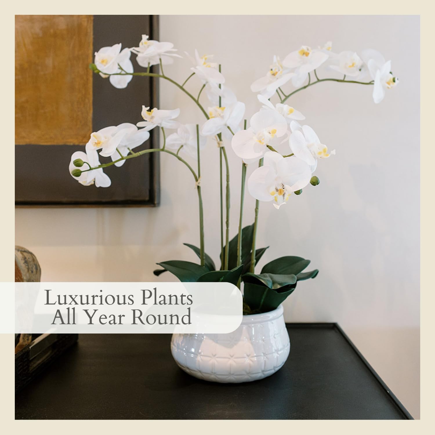 CG Hunter Faux White Orchid Plant, Premium Artificial Indoor Flower Display Stands 25 - Inches with Beautiful Sculptural Blooms and Foliage That Lasts Forever, Grey Planter Pot Included - Homesidy.com