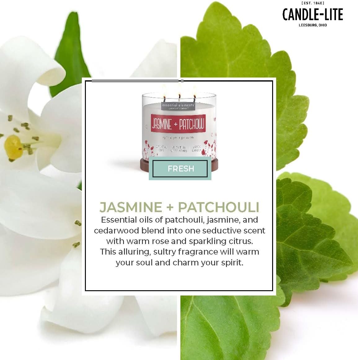 Candle - lite Essential Elements Scented Candles, Eucalyptus &amp; Mint Leaf, 14.75 oz Jar, Proudly Poured in The USA, Aromatherapy, 3 - Wick with 45 Hours Burn Time, Perfect for Creating a Relaxing Ambiance - Homesidy.com