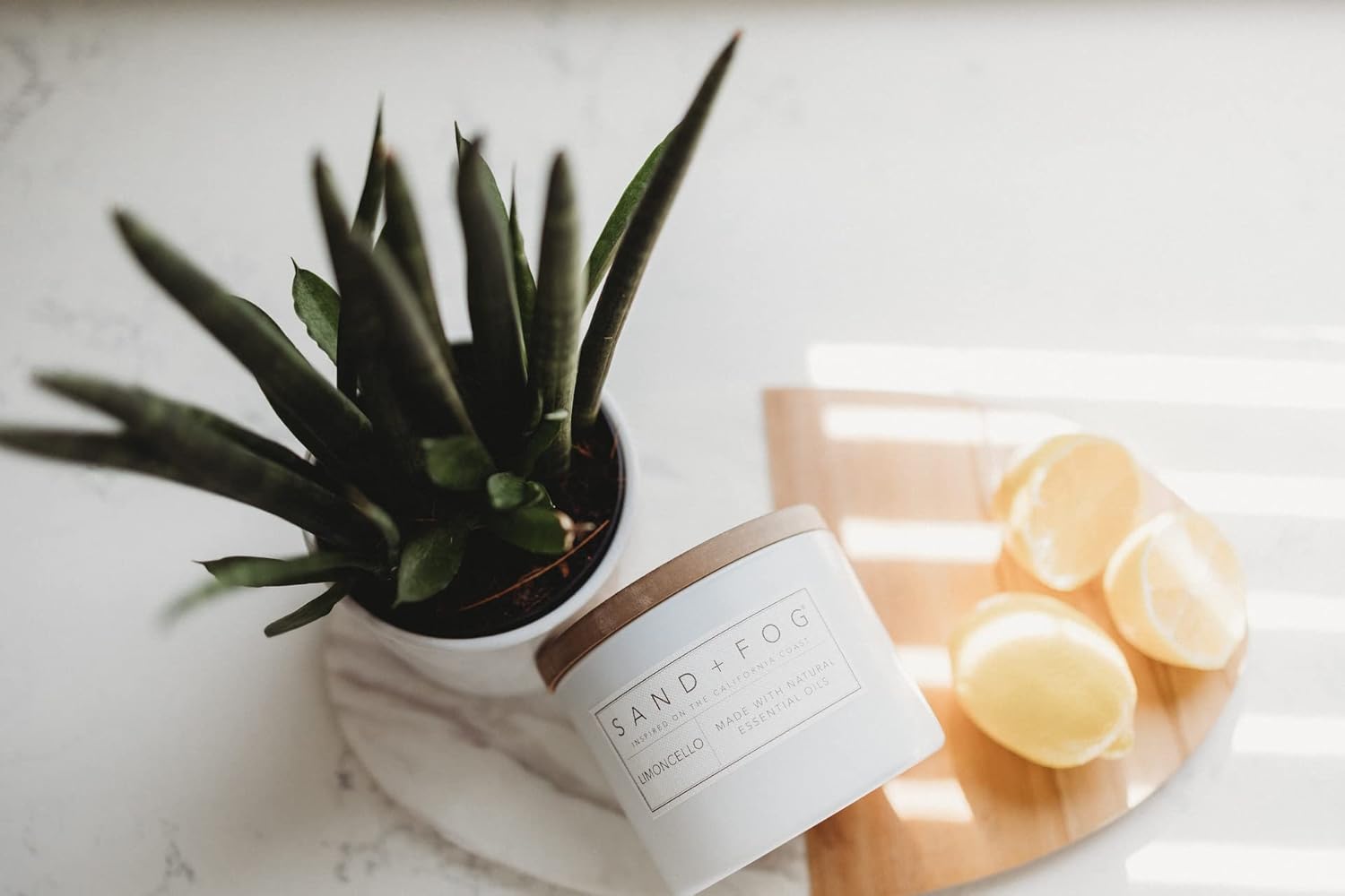 Sand Fog Scented Candle - Crushed Candy Cane – Additional Scents and Sizes – 100% Cotton Lead - Free Wick - Luxury Air Freshening Jar Candles - Perfect Home Decor – 12oz … - Homesidy.com