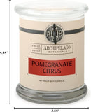 Archipelago Botanicals Scented Candle Hand - Poured Premium Wax, Burns Approx. 60 Hours, Pineapple Ginger, Soy Candle in Glass Jar, 4.5 Inch, 8.6 oz - Homesidy.com