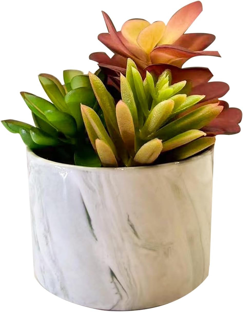 Karlliu Artificial Plants Cute Colourful Succulents in Ceramic Planter Fake Plant Flowers Potted for Home Living Room Office Desk Decor Bathroom Bedroom Indoor Decoration - Homesidy.com
