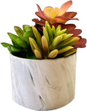 Karlliu Artificial Plants Cute Colourful Succulents in Ceramic Planter Fake Plant Flowers Potted for Home Living Room Office Desk Decor Bathroom Bedroom Indoor Decoration - Homesidy.com