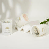 ava concept - Soy Candles with Crystals - Aromatherapy Scented Candle for Women - Lavender Vanilla Gift Set - Small Wax Melts - 3 Pack 3.5oz - Homesidy.com