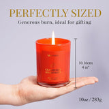 Balsam Cedar Candle, 10oz Soy Scented Candle for Home, Christmas Birthday &amp; Holiday Gifts for Women &amp; Men, Long Lasting 50 Hour Clean Non - Toxic Burn, Elegant Winter &amp; Christmas Festive Home Decor - Homesidy.com