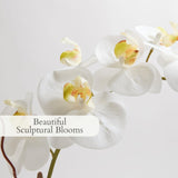 CG Hunter Faux White Orchid Plant, Premium Artificial Indoor Flower Display Stands 25 - Inches with Beautiful Sculptural Blooms and Foliage That Lasts Forever, Grey Planter Pot Included - Homesidy.com